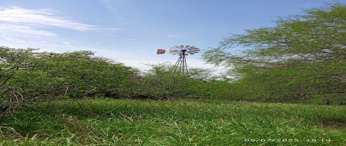 Foto de rancho en centro , sabinas hidalgo centro, sabinas hidalgo, nuevo león, 0 foto 03 Foto de rancho en venta en centro , sabinas hidalgo centro, sabinas hidalgo, nuevo león, 0 No. 03