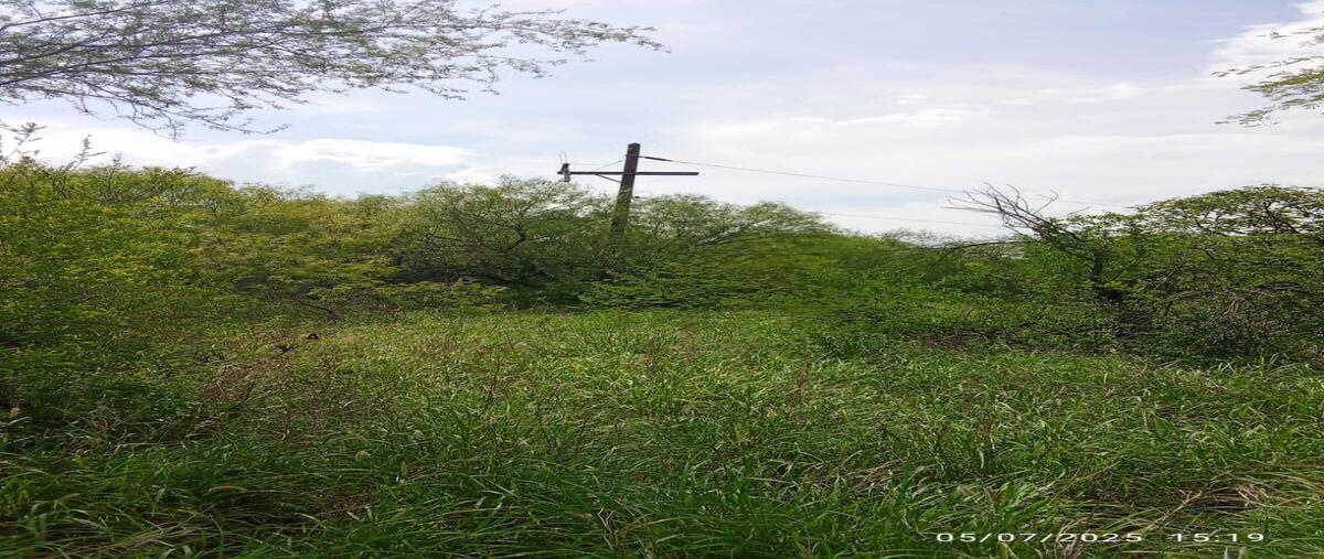 Foto de rancho en centro , sabinas hidalgo centro, sabinas hidalgo, nuevo león, 0 foto 04 Foto de rancho en venta en centro , sabinas hidalgo centro, sabinas hidalgo, nuevo león, 0 No. 04