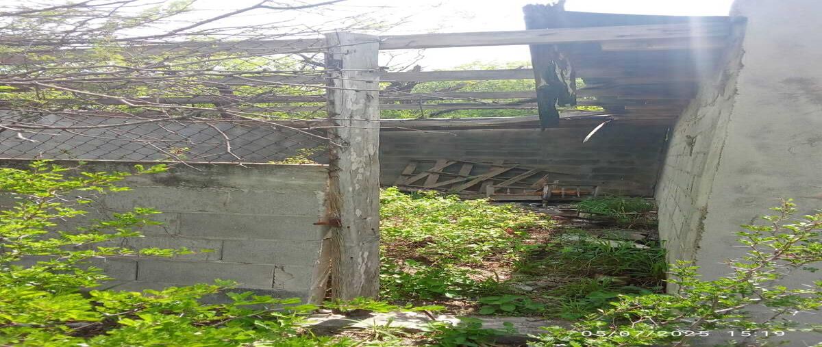 Foto de rancho en centro , sabinas hidalgo centro, sabinas hidalgo, nuevo león, 0 foto 05 Foto de rancho en venta en centro , sabinas hidalgo centro, sabinas hidalgo, nuevo león, 0 No. 05