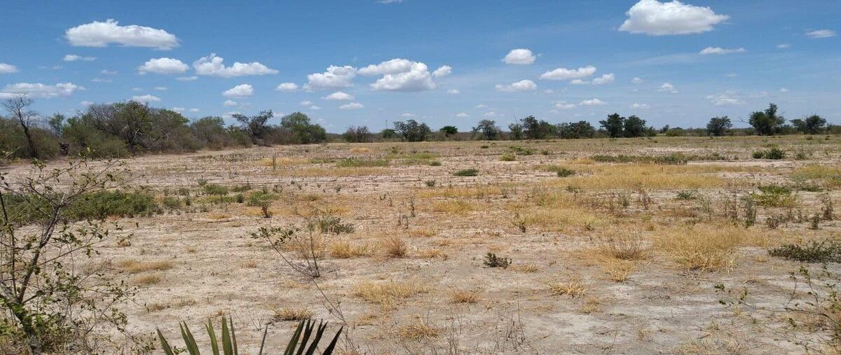 Foto de rancho en centro , sabinas hidalgo centro, sabinas hidalgo, nuevo león, 0 foto 04 Foto de rancho en venta en centro , sabinas hidalgo centro, sabinas hidalgo, nuevo león, 0 No. 04