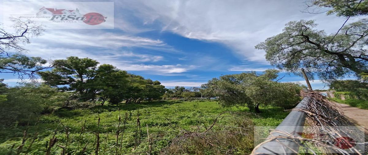 Foto de terreno habitacional en renta en  , centro, san juan del río, querétaro, 30130214 No. 04