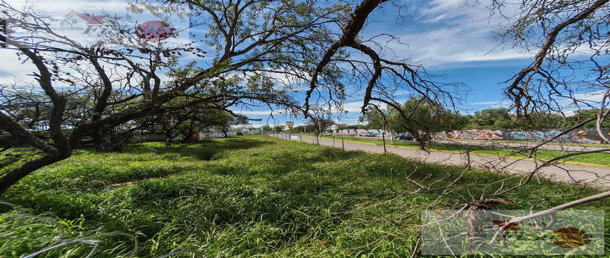 Foto de terreno habitacional en renta en  , centro, san juan del río, querétaro, 30130217 No. 03