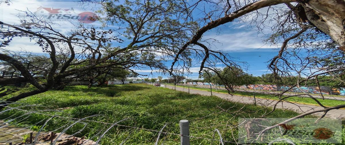 Foto de terreno habitacional en renta en  , centro, san juan del río, querétaro, 30130217 No. 04