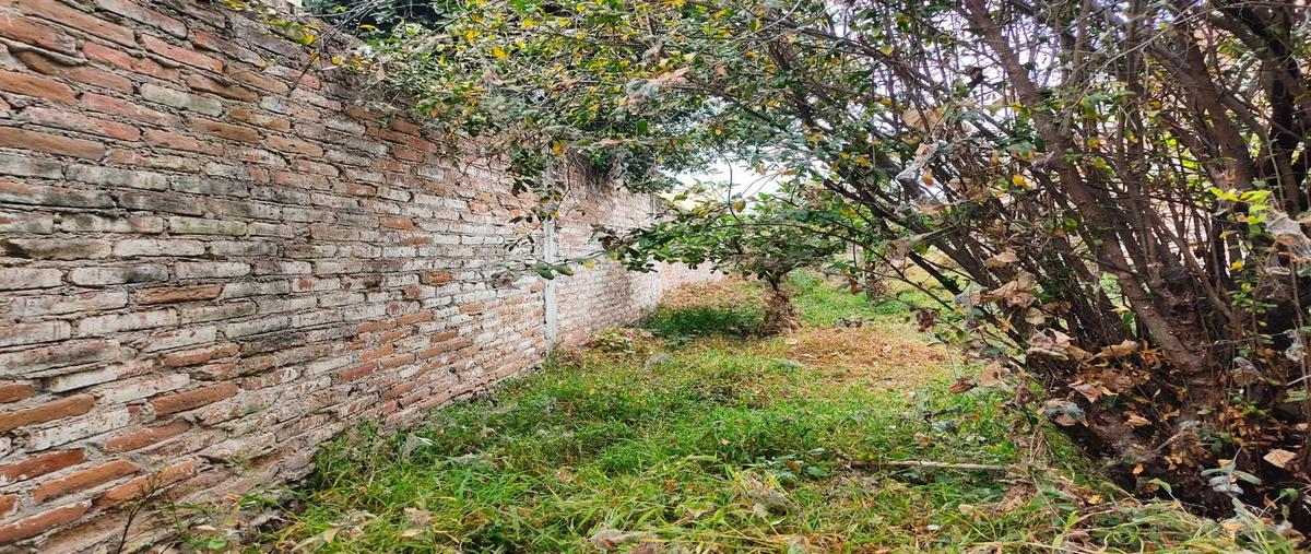 Foto de terreno habitacional en venta en  , centro, san juan del río, querétaro, 30547525 No. 05