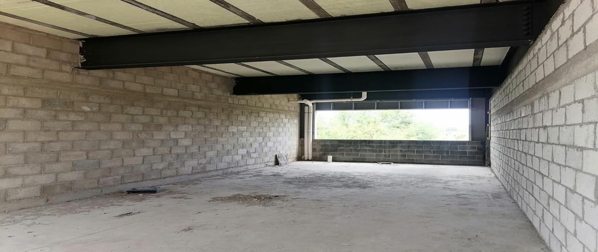 Foto de local en renta en  , centro, san juan del río, querétaro, 0 No. 05