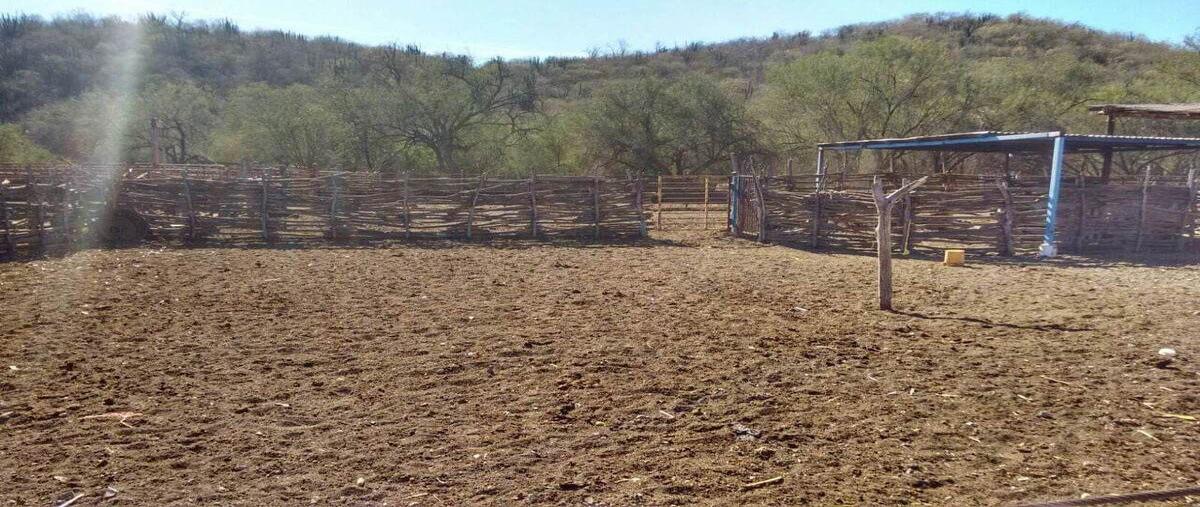 Foto de rancho en centro , sinaloa de leyva centro, sinaloa, sinaloa, 0 foto 04 Foto de rancho en venta en centro , sinaloa de leyva centro, sinaloa, sinaloa, 0 No. 04