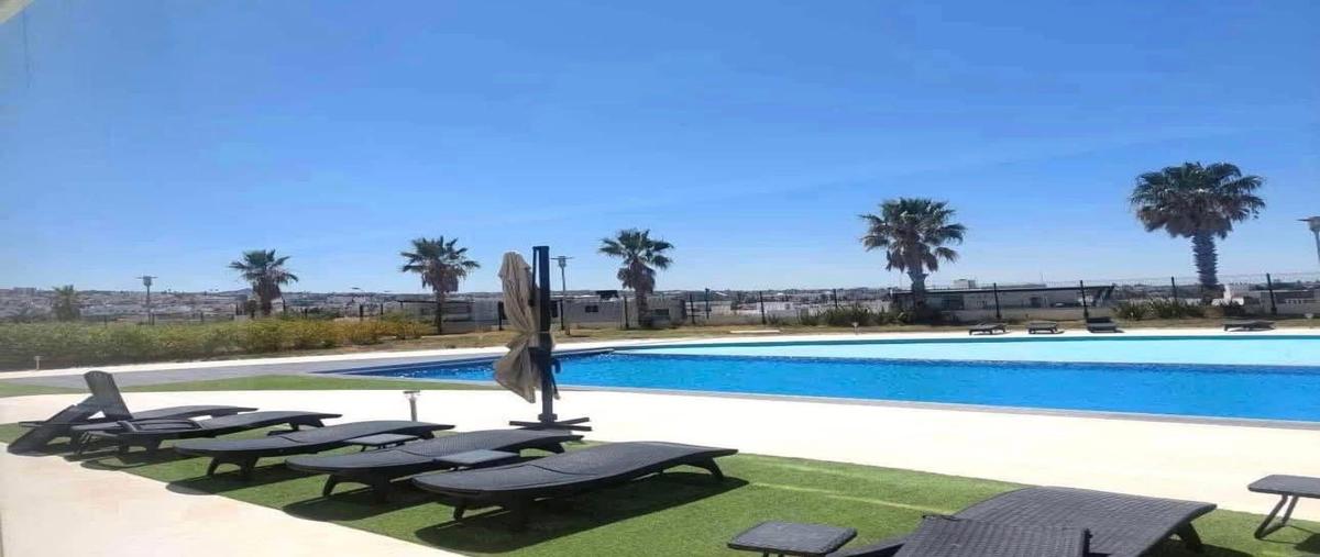 Foto de departamento en renta en  , centro sur, querétaro, querétaro, 0 No. 05