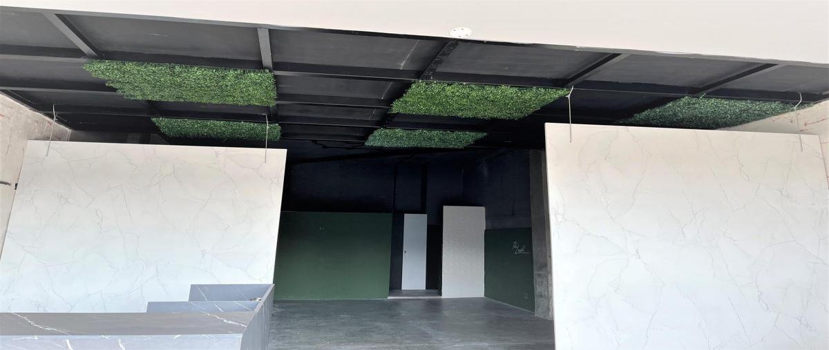 Foto de local en renta en  , centro sur, querétaro, querétaro, 0 No. 05