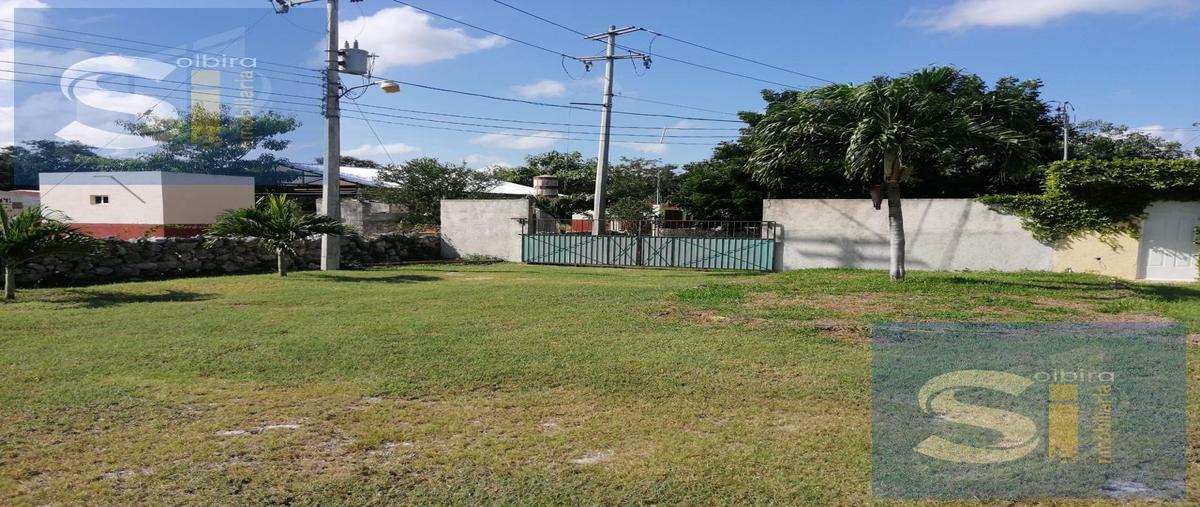 Foto de terreno habitacional en venta en  , centro telchac pueblo, telchac pueblo, yucatán, 30961617 No. 04