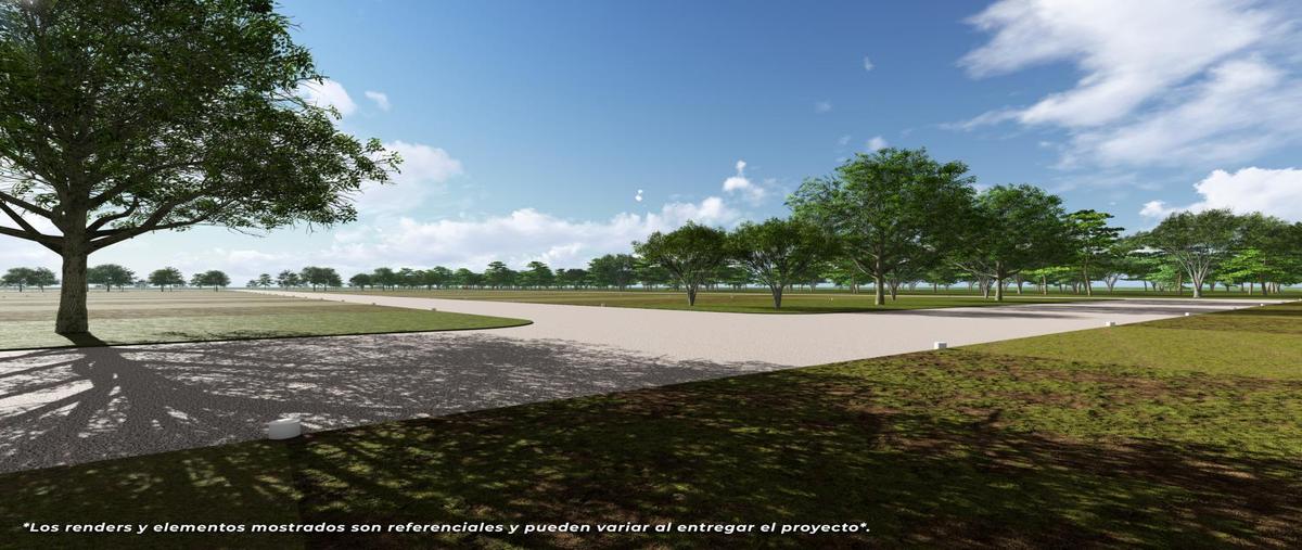 Foto de terreno habitacional en venta en  , centro telchac pueblo, telchac pueblo, yucatán, 0 No. 03