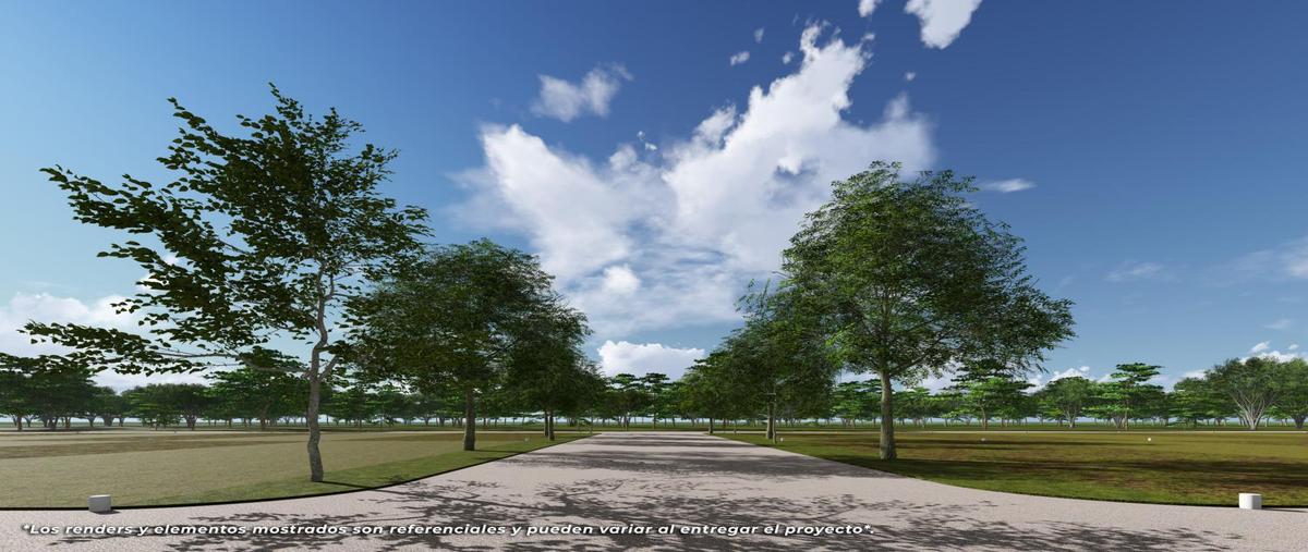 Foto de terreno habitacional en venta en  , centro telchac pueblo, telchac pueblo, yucatán, 0 No. 05