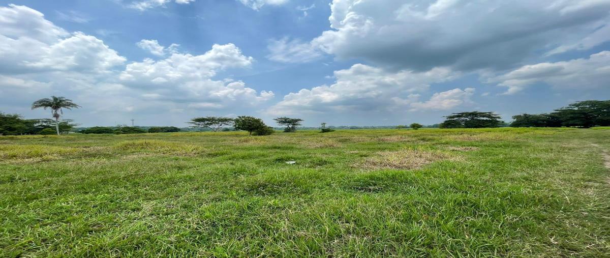 Foto de rancho en venta en  , centro tular 1ra. sección, comalcalco, tabasco, 28329028 No. 03