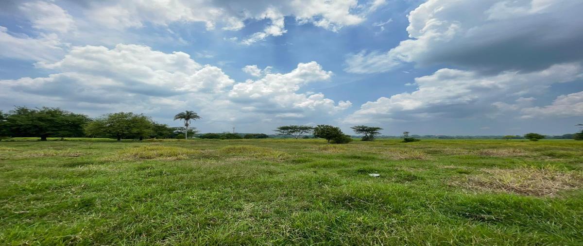 Foto de rancho en venta en  , centro tular 1ra. sección, comalcalco, tabasco, 28329028 No. 04