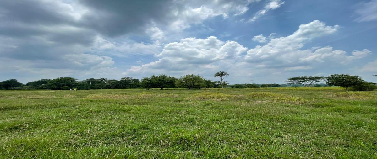 Foto de rancho en venta en  , centro tular 1ra. sección, comalcalco, tabasco, 28329028 No. 05