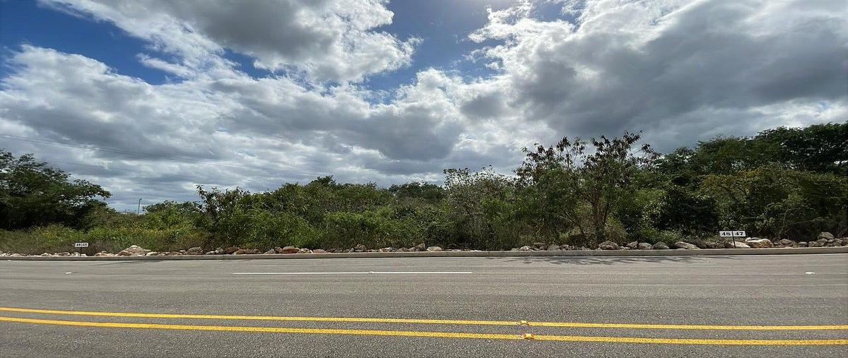 Foto de terreno habitacional en venta en  , centro umán, umán, yucatán, 26373071 No. 15