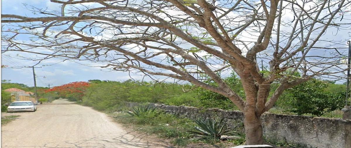 Foto de terreno habitacional en venta en  , centro umán, umán, yucatán, 28021474 No. 03