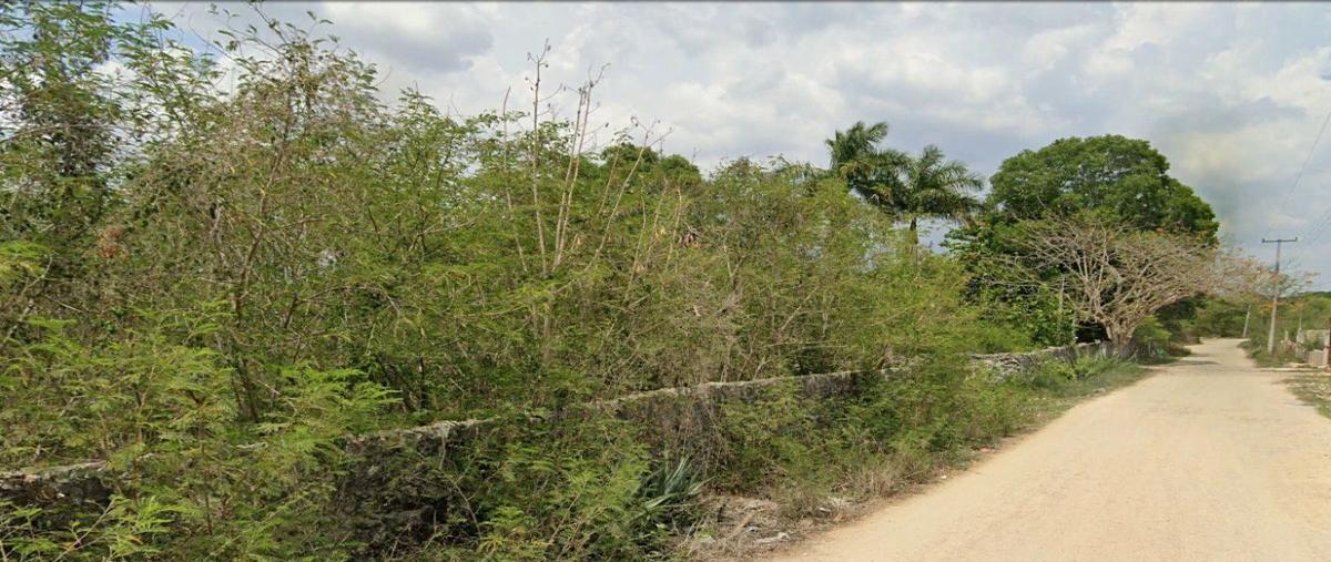 Foto de terreno habitacional en venta en  , centro umán, umán, yucatán, 28021474 No. 04