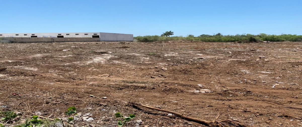 Foto de terreno habitacional en venta en  , centro umán, umán, yucatán, 29209476 No. 05