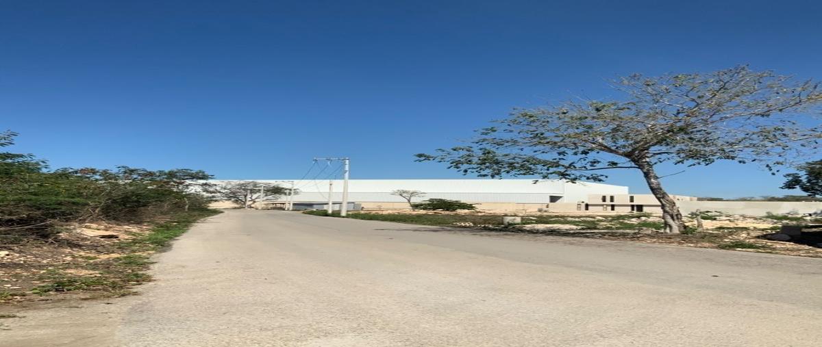 Foto de terreno industrial en venta en  , centro umán, umán, yucatán, 29307206 No. 03