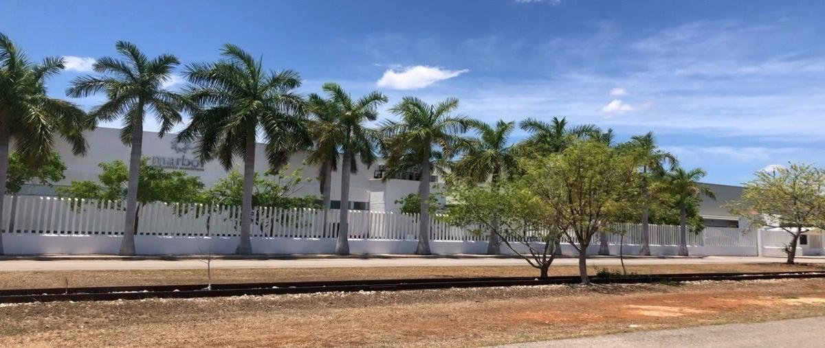Foto de terreno industrial en venta en  , centro umán, umán, yucatán, 29307206 No. 05