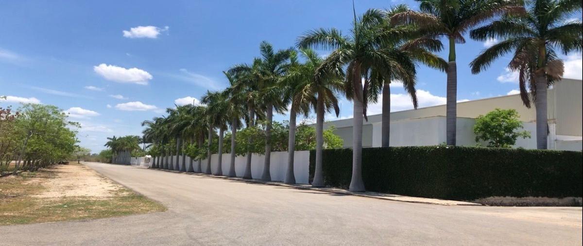 Foto de terreno industrial en venta en  , centro umán, umán, yucatán, 0 No. 04