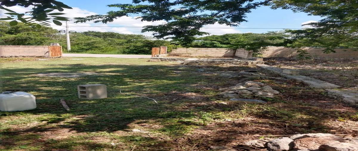 Foto de terreno habitacional en venta en  , centro umán, umán, yucatán, 30182969 No. 03