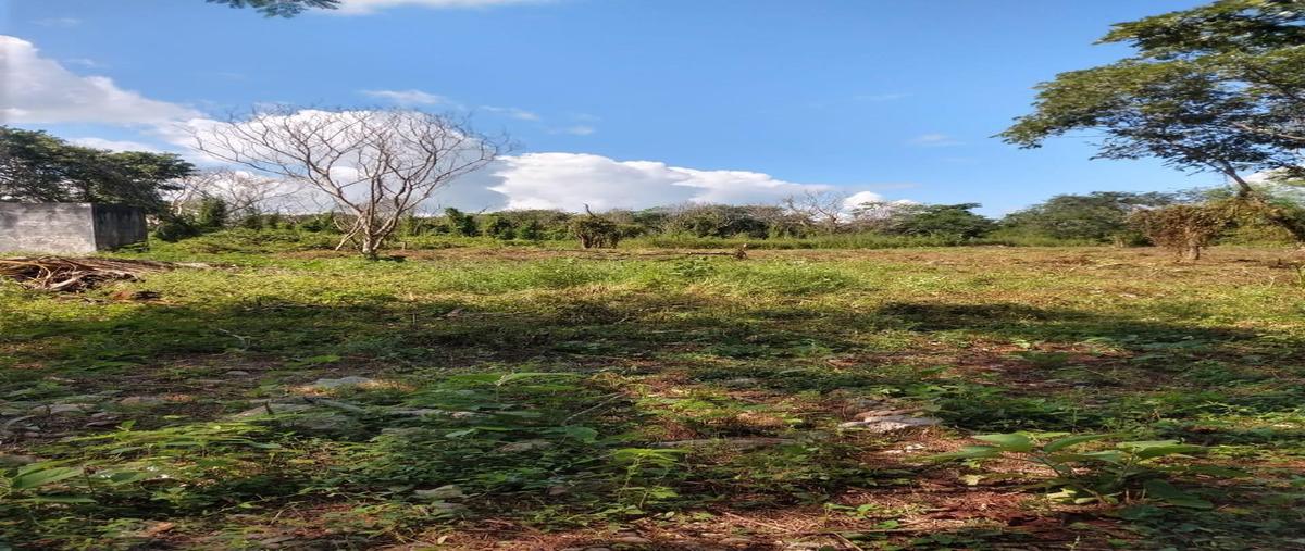 Foto de terreno habitacional en venta en  , centro umán, umán, yucatán, 30182969 No. 04