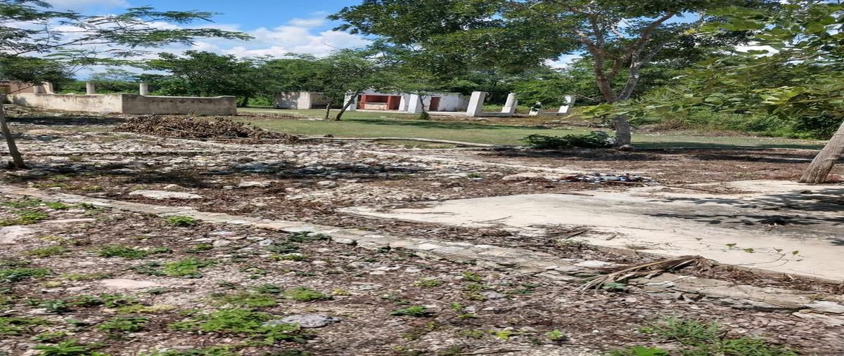 Foto de terreno habitacional en venta en  , centro umán, umán, yucatán, 30182969 No. 05