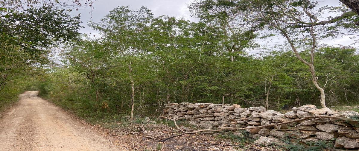 Foto de terreno habitacional en venta en  , centro umán, umán, yucatán, 30263505 No. 03