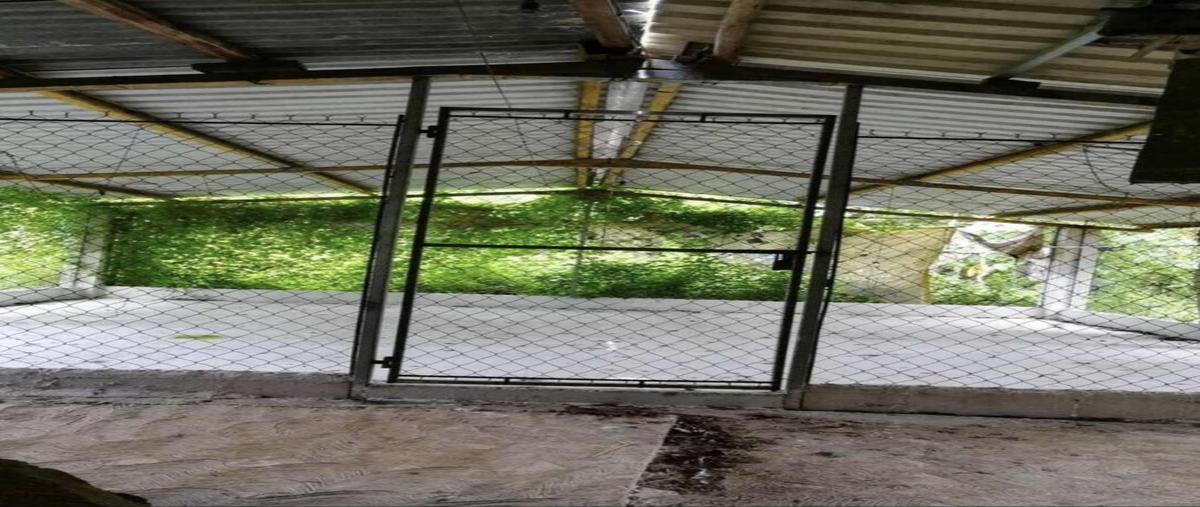 Foto de terreno habitacional en venta en  , centro umán, umán, yucatán, 0 No. 05