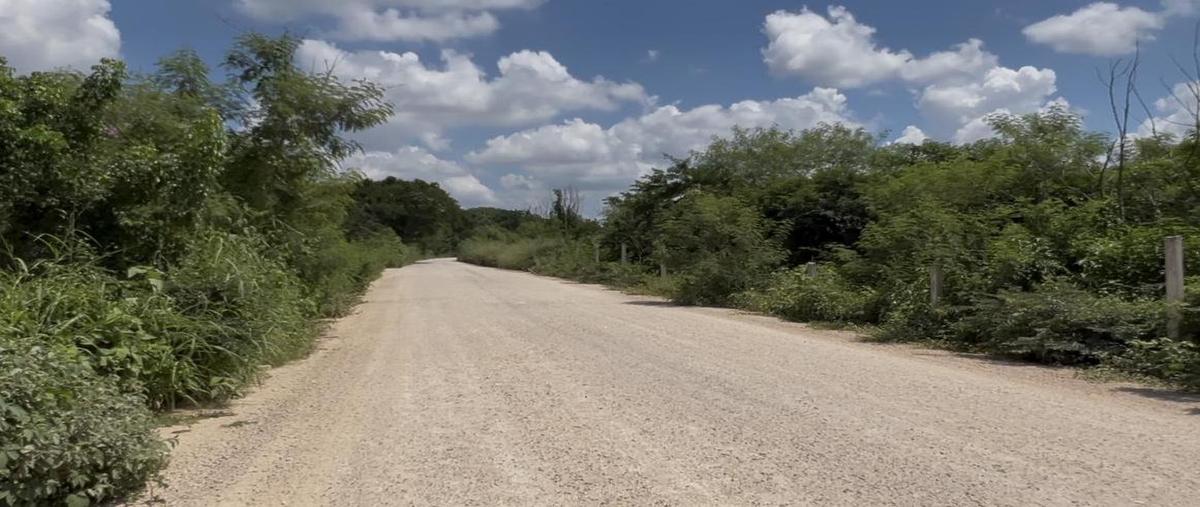 Foto de terreno habitacional en venta en  , centro umán, umán, yucatán, 30478851 No. 03
