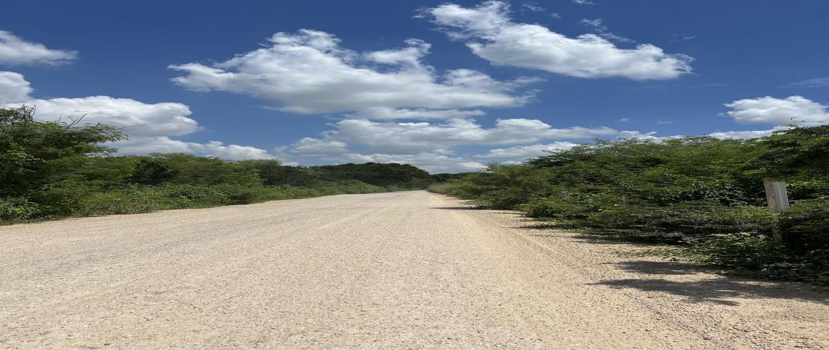 Foto de terreno habitacional en venta en  , centro umán, umán, yucatán, 30478851 No. 04