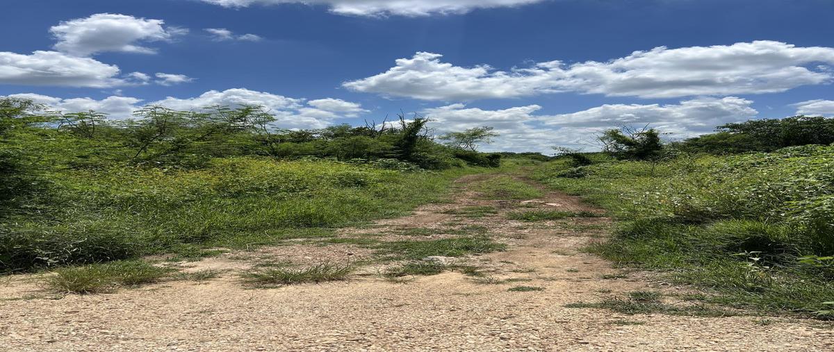 Foto de terreno habitacional en venta en  , centro umán, umán, yucatán, 30478851 No. 05