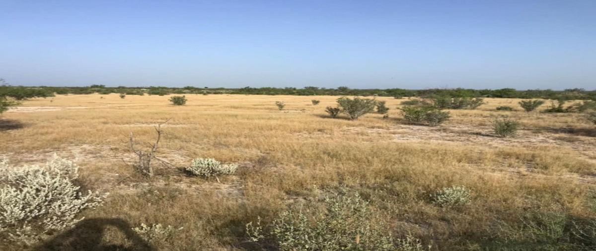 Foto de rancho en venta en centro , vallecillo, vallecillo, nuevo león, 0 No. 03