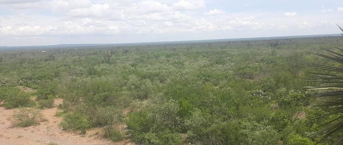 Foto de terreno habitacional en centro , vallecillo, vallecillo, nuevo león, 0 foto 05 Foto de terreno habitacional en venta en centro , vallecillo, vallecillo, nuevo león, 0 No. 05