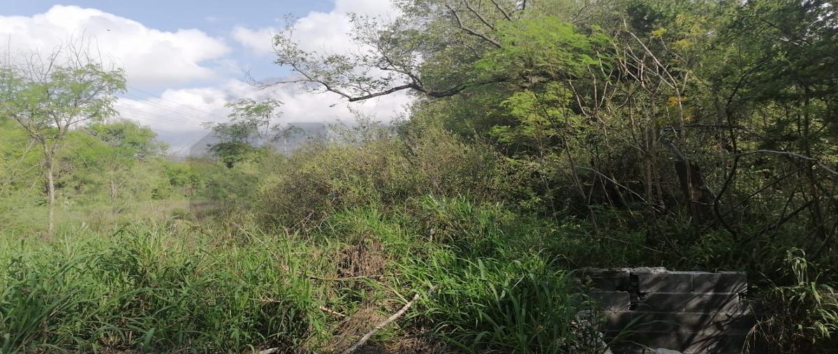 Foto de terreno comercial en renta en  , centro villa de garcia (casco), garcía, nuevo león, 31481951 No. 03