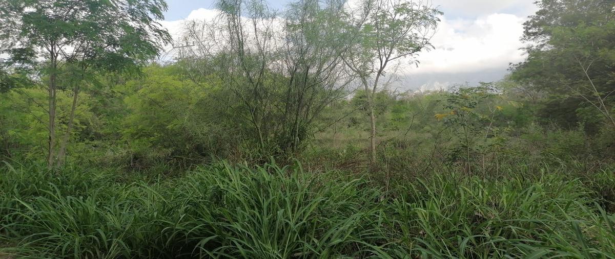 Foto de terreno comercial en renta en  , centro villa de garcia (casco), garcía, nuevo león, 31481951 No. 04
