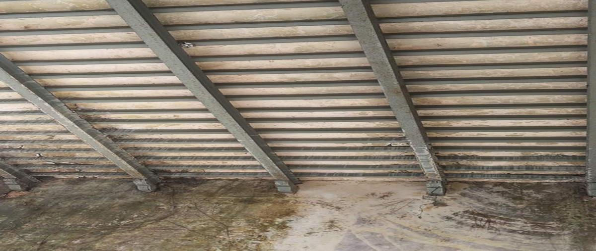 Foto de casa en venta en centro whi267267, merida centro, mérida, yucatán, 19305681 No. 03