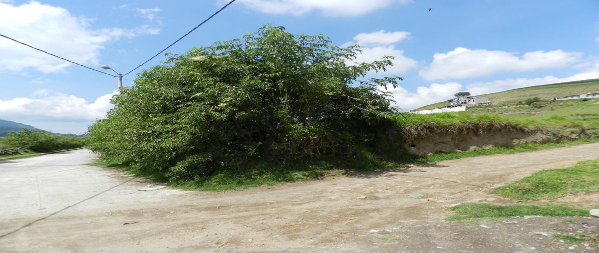 Foto de terreno habitacional en centro whi277111, tenango de arista centro, tenango del valle, méxico, 24736106 foto 05 Foto de terreno habitacional en venta en centro whi277111, tenango de arista centro, tenango del valle, méxico, 24736106 No. 05