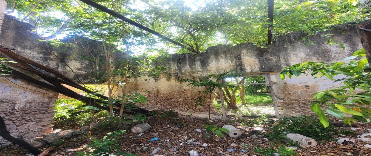Foto de terreno habitacional en venta en centro whi308049, merida centro, mérida, yucatán, 0 No. 03