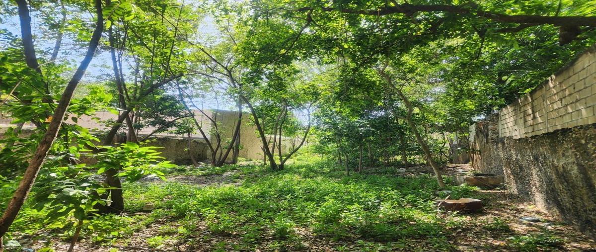 Foto de terreno habitacional en venta en centro whi308049, merida centro, mérida, yucatán, 0 No. 04
