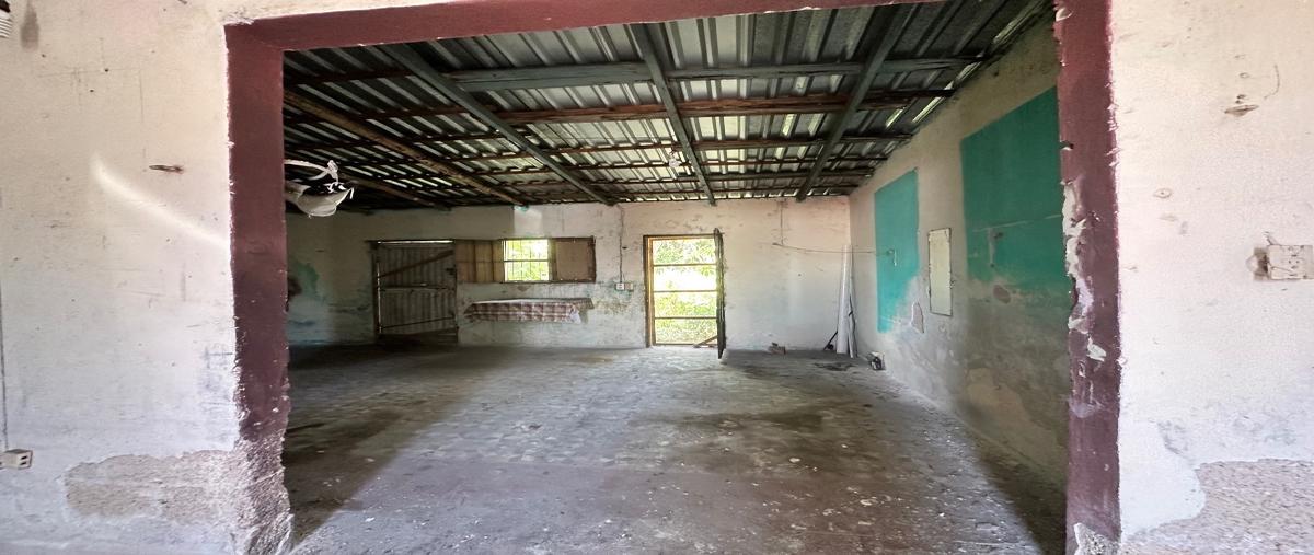 Foto de casa en venta en centro whi308063, merida centro, mérida, yucatán, 28139621 No. 03