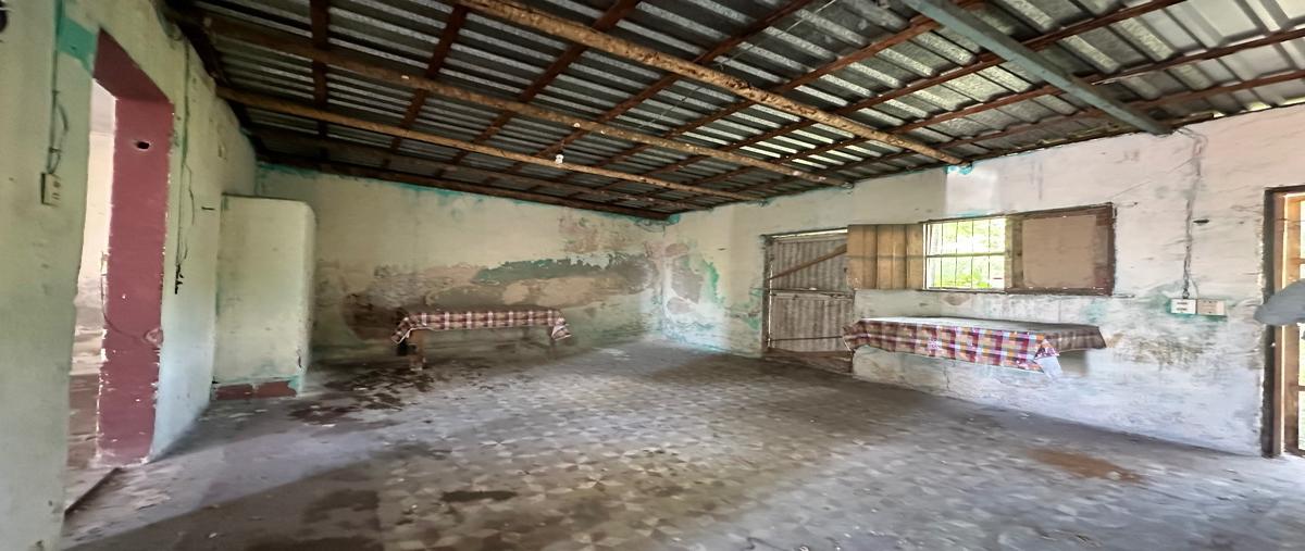 Foto de casa en venta en centro whi308063, merida centro, mérida, yucatán, 0 No. 04
