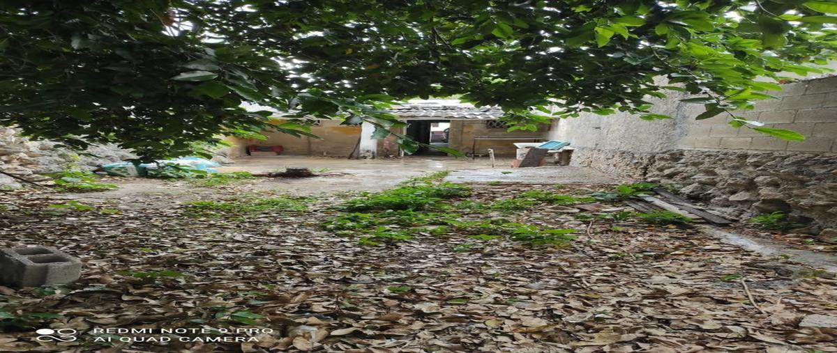Foto de casa en venta en centro whi309195, merida centro, mérida, yucatán, 0 No. 03