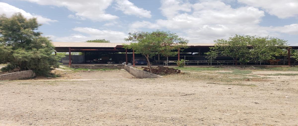 Foto de rancho en venta en centro whi310248, centro, guasave, sinaloa, 0 No. 04