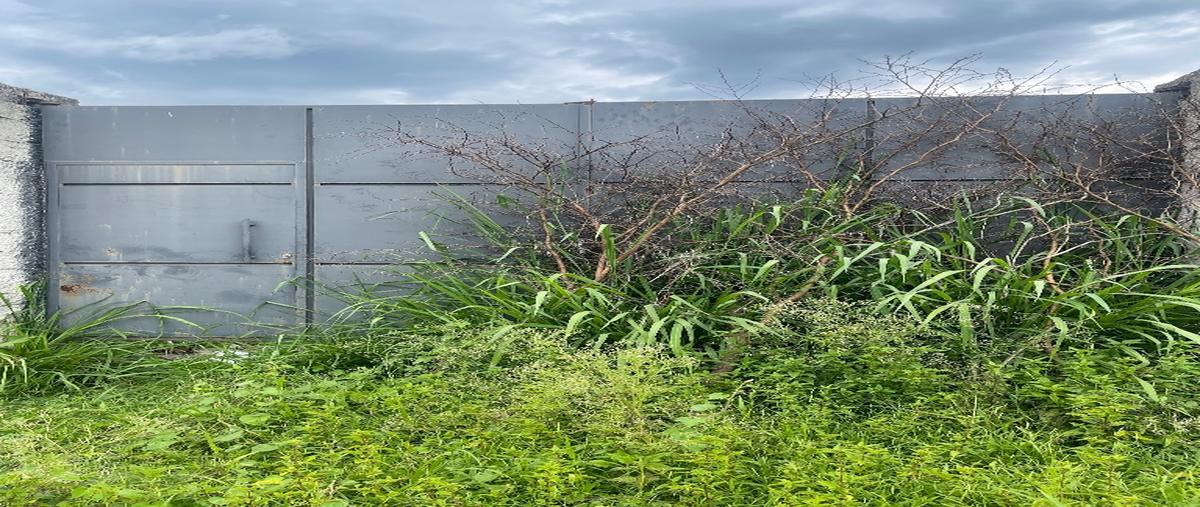 Foto de terreno habitacional en venta en  , centro, yautepec, morelos, 30189412 No. 05