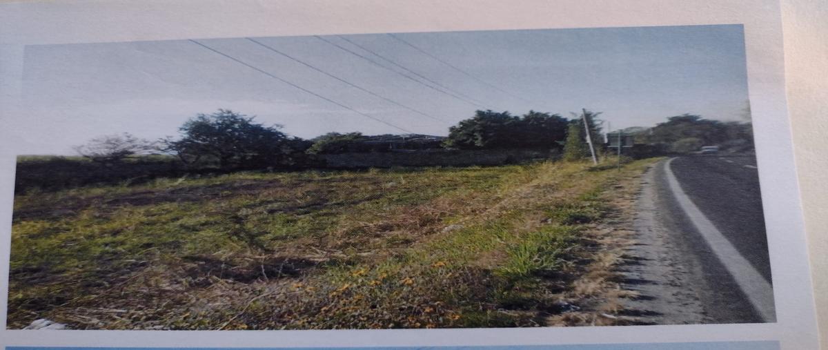Foto de terreno habitacional en venta en  , centro, yautepec, morelos, 0 No. 05