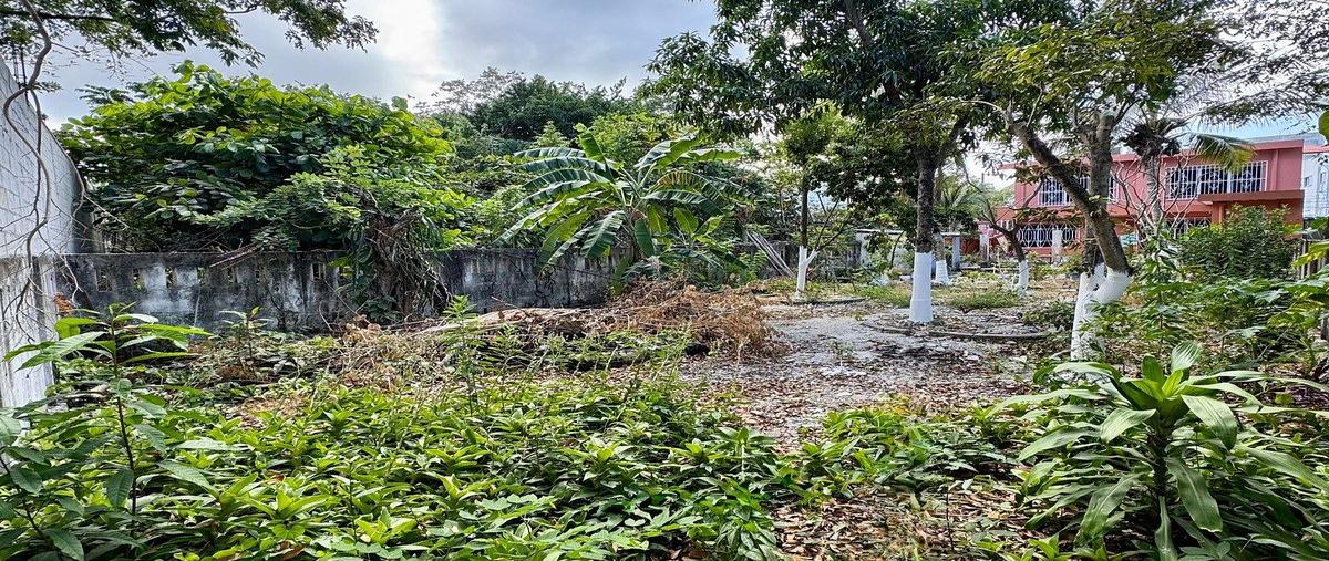 Foto de casa en venta en centrocozumel , cozumel centro, cozumel, quintana roo, 31082676 No. 05