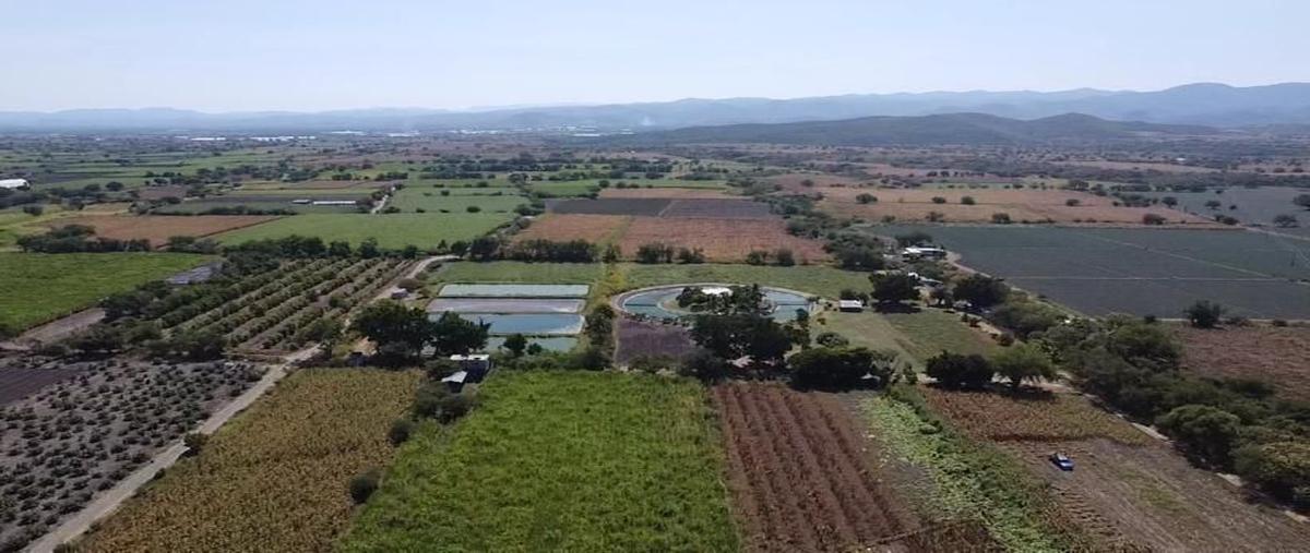 Foto de terreno habitacional en venta en centropueblo tepalcingotepalcingo , tepalcingo, tepalcingo, morelos, 0 No. 01
