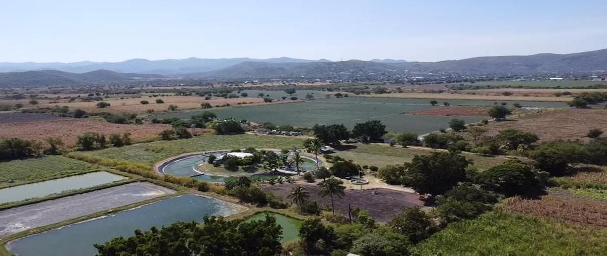 Foto de terreno habitacional en venta en centropueblo tepalcingotepalcingo , tepalcingo, tepalcingo, morelos, 0 No. 04